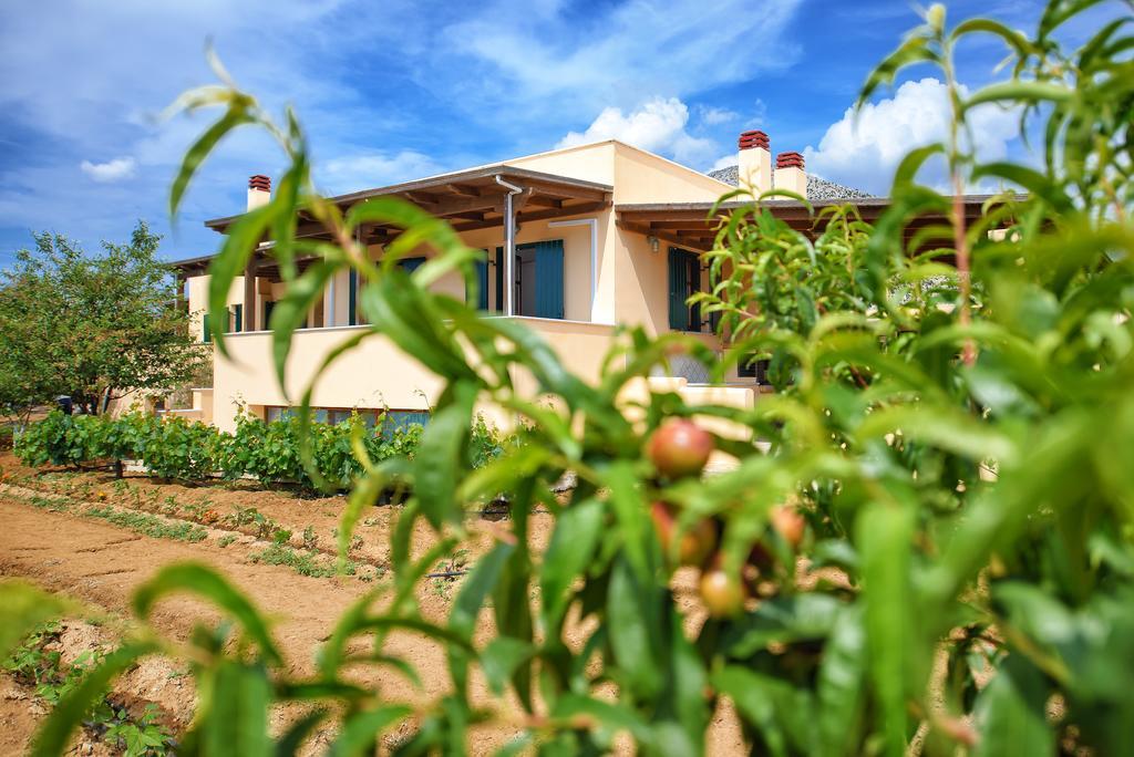 Naxos Cottage Kato Sangrion Exterior foto